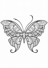 Butterfly Coloring Patterns Beautiful Pages Insects Adults Butterflies Printable Adult sketch template