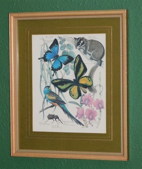 Marjorie Blamey Set Of Eight Coloured Prints Of Various Flora And