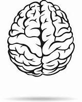 Cerebro Brain Psicologia Arriba sketch template
