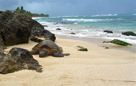 10 Of The Most Beautiful Beaches On Oahu Hawaii