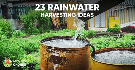 awesome diy rainwater harvesting systems   build
