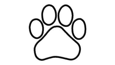 puppy paw print outline clipart