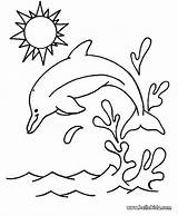 Dolphin Coloring Happy Pages Color Hellokids Print Online sketch template