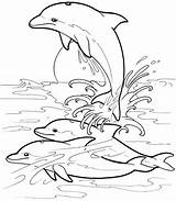 Coloring Pages Dolphin Dolphins Book Drawing Dover Publications Colouring Tattoo Printable Animal Kids Welcome Drawings Designs Dream Heart Tattoos Doverpublications sketch template