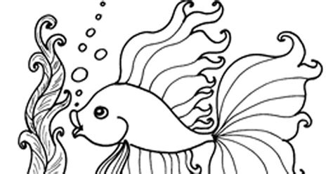reef fish coloring pages realistic coloring pages