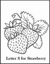 Mewarnai Frutas Erdbeeren Buah Bordar Ausmalen Emily Erdbeer Malen Bordado Patrones Legumes Blumen Pintar Schablonen Tk Paud Pintados Manteles Bordados sketch template