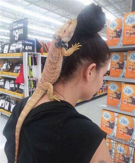 walmart store hilarious and bizarre photos that are typical walmart