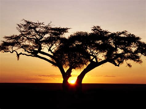 el continente africano hermosas imagenes taringa