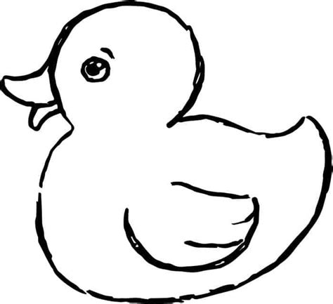 duck coloring pages  preschoolers animal coloring pages horse