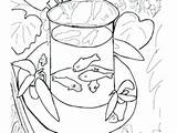 Matisse Coloring Henri Pages Getcolorings Goldfish sketch template