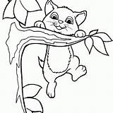 Pobarvanke Gato Kitten Gatti Stampare Climbing Kleurplaten Kleurplaat Muce Procoloring Volwassenen Jo Glance Pusheen Coloringhome sketch template
