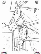 Coloring Pages Horse Herd Wild Real Horses Getcolorings Choose Board Popular sketch template