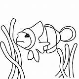Fish Coloring Nemo Clown Pages Finding Drawing Happy Getdrawings Print Button Through sketch template