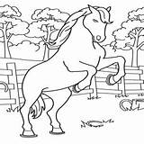 Fazenda Cavalo Colorat Cai Planse Desene Tudodesenhos Corrida sketch template