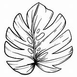 Leaf Printable Coloring Pages Leaves Simple Pattern Template Cut Printablee Maple Oak Via sketch template