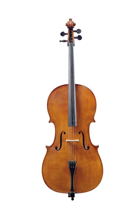 violoncello