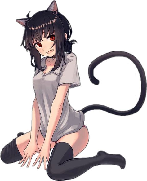 hot anime cat girls 138 best images about sexy anime girls on