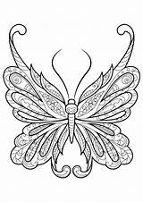 Coloring Pages Detailed Butterfly Adults Getdrawings sketch template