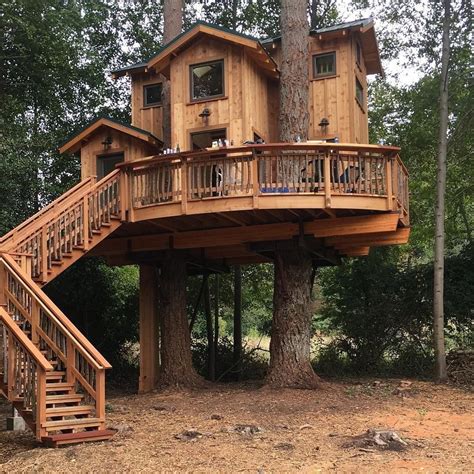 pictures  treehouses  adults references outdoor farm lights