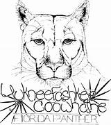 Panther Panthers Getdrawings sketch template