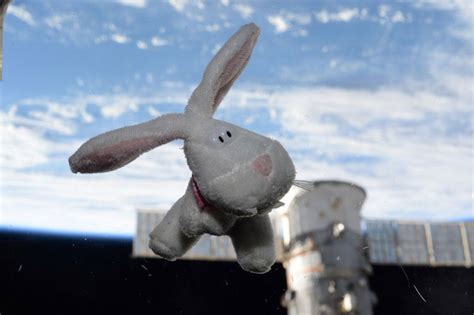 Picture Of The Day Happy Easter From Space Twistedsifter