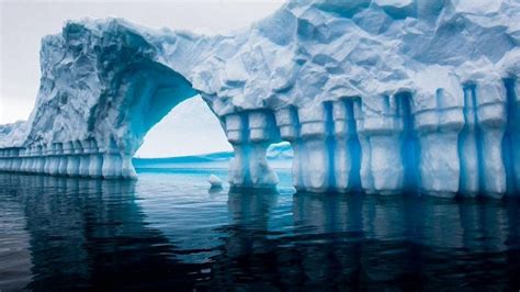 wilayah kutub memiliki  es belajar sampai mati