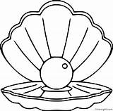 Scallop Coquillage Coquille Jacques Coloringall Coquillages sketch template
