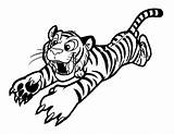 Tiger Template Templates Shape Colouring Pages sketch template