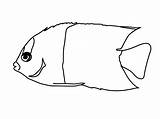 Scales Fish Clipartmag Drawing sketch template