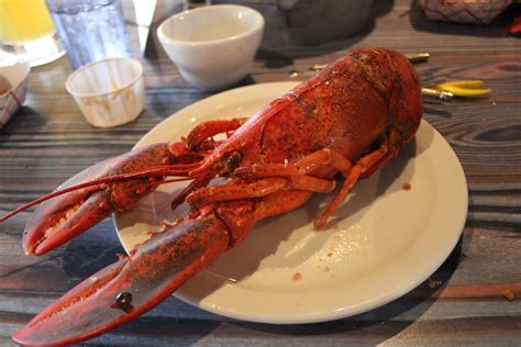 cooked lobster at joe s crab shack matt johnson flickr