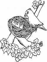 Coloring Pages Spring Nest Bird Her Decorating Nature Color Summer sketch template