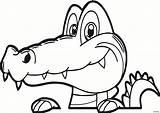 Alligator Cartoon Drawing Coloring Pages Cute Preschool Sheet Getdrawings Sheets sketch template