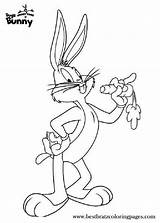 Pages Looney Tunes Ausmalbilder Toons Bug Ausmalbild Freunde sketch template
