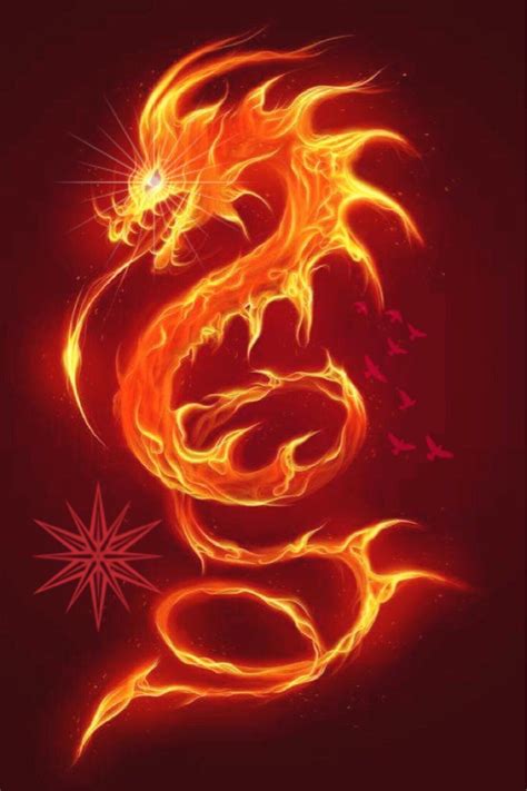 arcturian fire dragon reiki mp