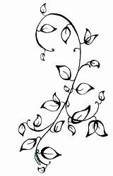 Vine Tattoos Tattoo Flower Simple Vines Draw Google Drawing Women Leaf Flowers Leg sketch template