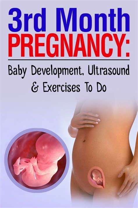 3 month pregnancy ultrasound twins pregnancywalls