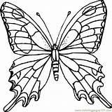 Butterfly Coloring Printable Pages Color Insects Online Outline Clipart Drawings Template Butterflies Pyrography Printables Adults Kids Print Patterns Drawing Flowers sketch template
