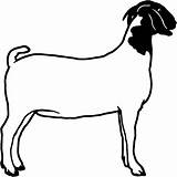 Goat Silhouette Clip Clipart Boer Dairy Outline Show Head Cliparts Goats Vector Line Drawing Cut Nubian Window Horse Die Wall sketch template