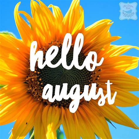 august      store     august means