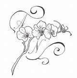 Orchid Drawing Outline Tattoo Flower Cattleya Orchids Tattoos Line Designs Sketch Orchidee Drawings Clipart Hand Pattern Coloring Deviantart Branch Getdrawings sketch template