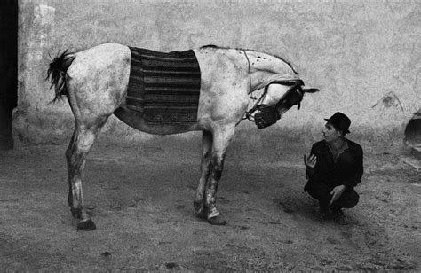 Un Rom E Il Suo Cavallo Romania 1968 Josef Koudelka