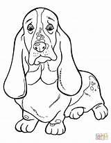 Coloring Hound Pages Basset Dog Printable Book Kids Supercoloring sketch template