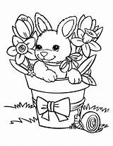 Coloring Rabbit Kids Pages Bunnies Para Colorir Color Baby Cute Print Desenho Vaso Coelho Páscoa Rabbits Printable Children Funny Easter sketch template