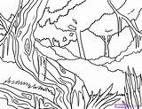 Forest Coloring Pages Printable Nature Drawing Drawings Animals Rain Kb sketch template