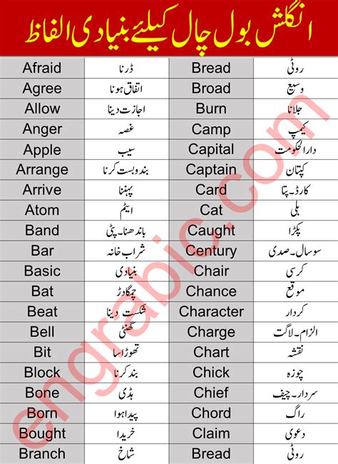 basic english  urdu words english vocabulary words learning