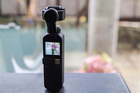 thoughts  field test dji osmo pocket
