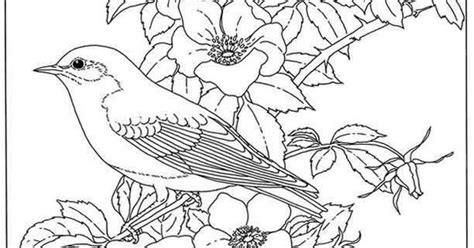 state birds  flowers coloring book peintures fleures pinterest