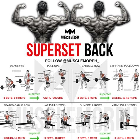 Superset Back Back Workout Bodybuilding Gym Musclemorph