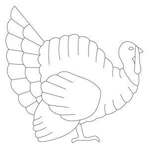 turkey coloring pages  kids animal place