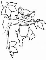 Coloring Kitten Pages Kids Printable Tree sketch template